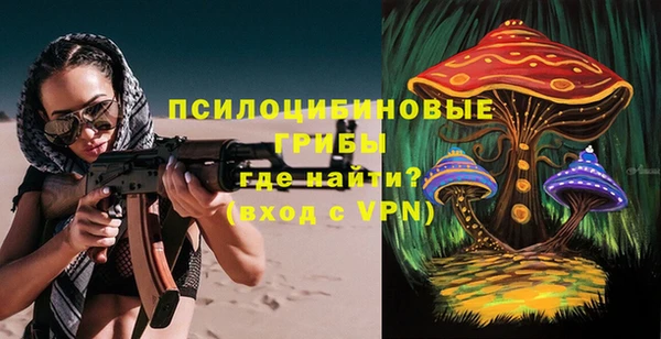 твердый Волоколамск